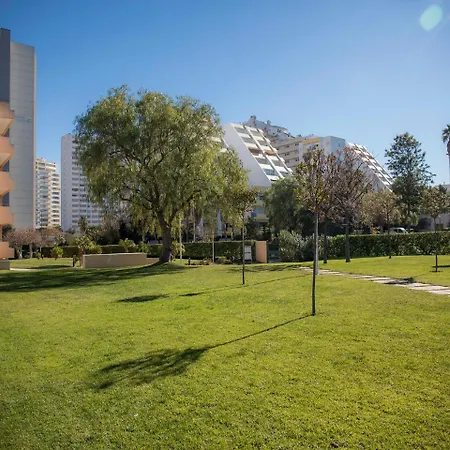 51b - Pocha Fonko Portimao